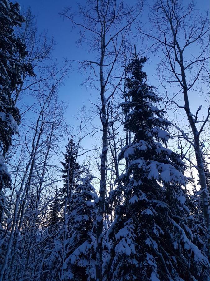 Northwoods Cottage Bed And Breakfast Фэрбанкс Экстерьер фото