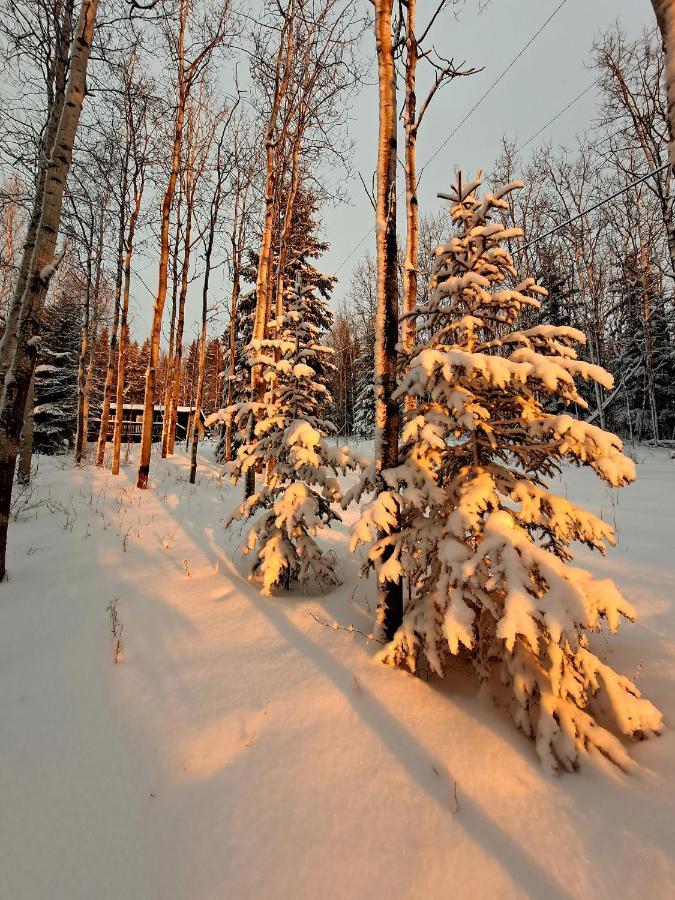 Northwoods Cottage Bed And Breakfast Фэрбанкс Экстерьер фото